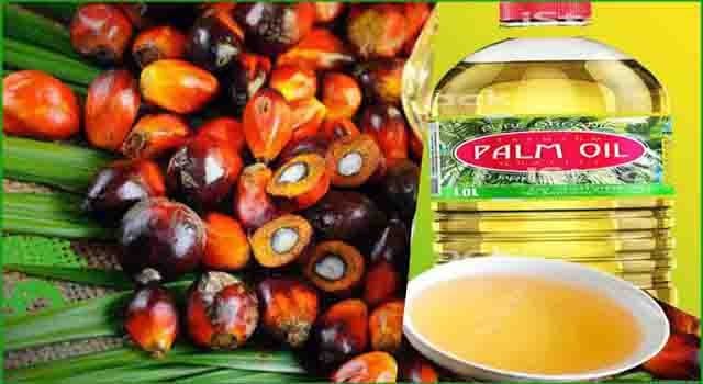ताड गोला Ice Apples Tad gola ke fayde