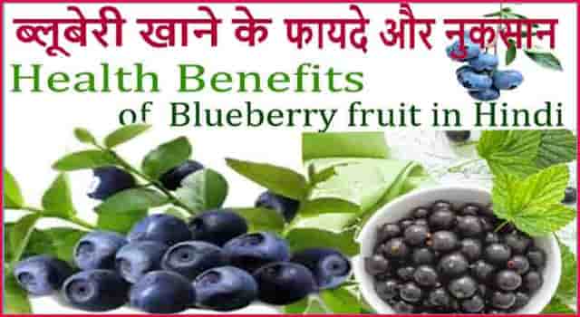 ब्लूबेरी फल खाने के फायदे - Blueberry Fruit HEALTH Benefits And Side Effects In Hindi.